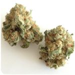 Шишки "White Widow" (Белая вдова) Гидропоника - Бошка VHQ в Кунгуре Шишки "White Widow" (Белая вдова) Гидропоника - Бошка VHQ в Кунгуре