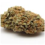 Шишки AK47 (Гидропоника, Бошка) VHQ в Кунгуре Шишки AK47 (Гидропоника, Бошка) VHQ в Кунгуре